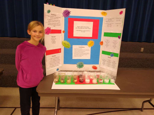 Science Fair - Ensign Elementary School