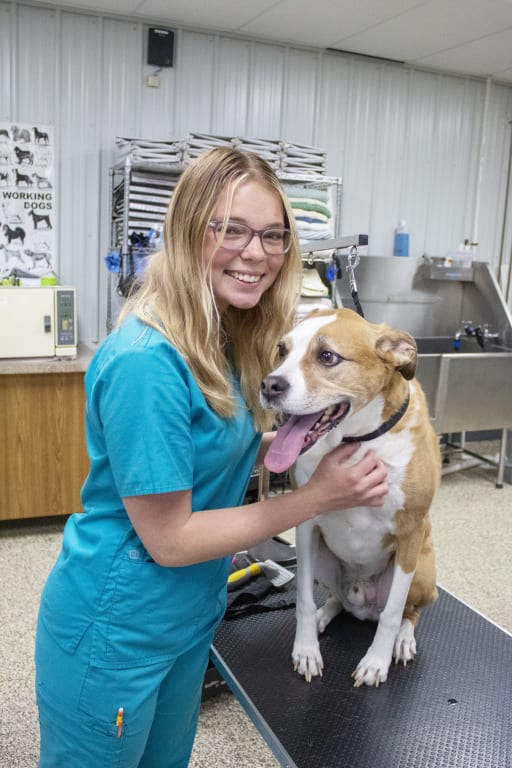 Veterinary Science - Springfield-Clark Career Technology Center