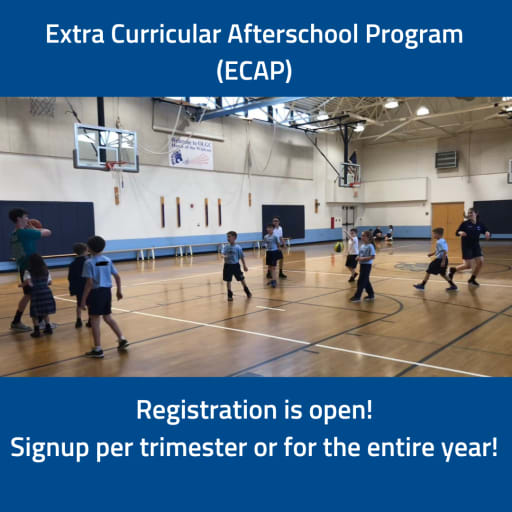 News Our Lady Of Good Counsel School