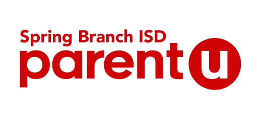 Skyward sbisd top
