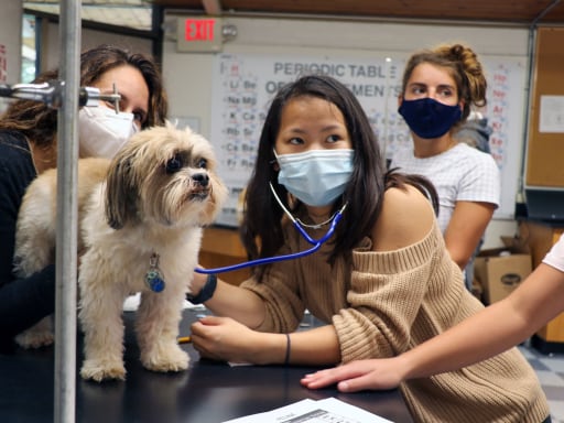 The Dog Days – GSB Students Extend the Classroom in Animal Science Course |  Post Page - Gill St. Bernard's School