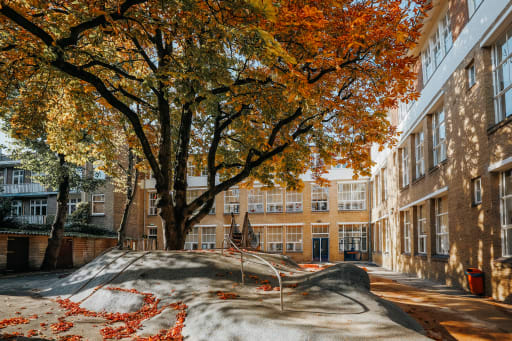 Lycee francais amsterdam new arrivals