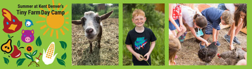 Tiny Farm Day Camp Kent Denver School
