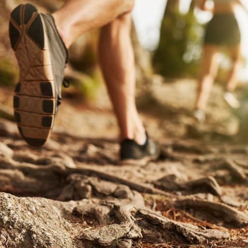 Cross country shoes academy sale