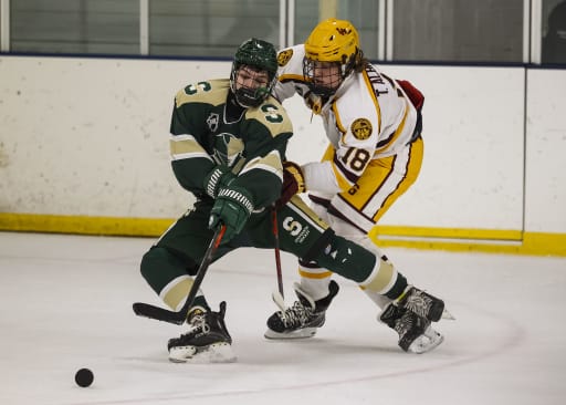 Ice Hockey Stevenson High School