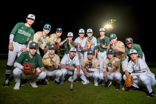 the woodlands christian academy baseball