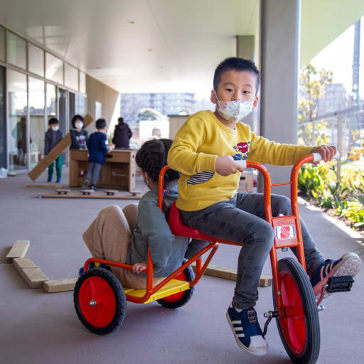 Elc tricycle top