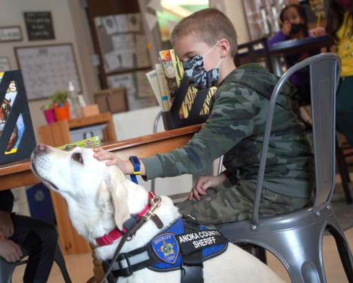 Therapy dog shop office visits