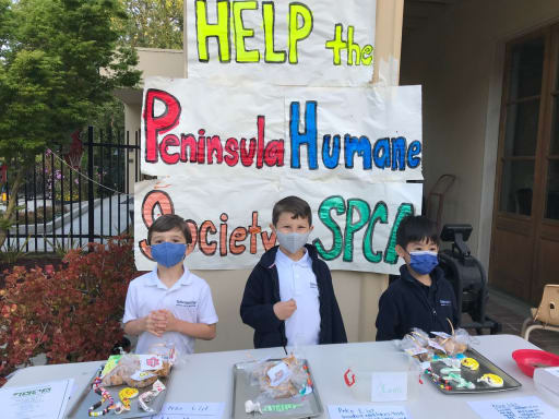 Peninsula humane society shop & spca