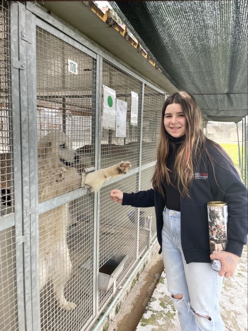 A letter of thanks from Taisiya in Year 6 | Latest news A letter of thanks from Taisiya in Year 6 | Latest news