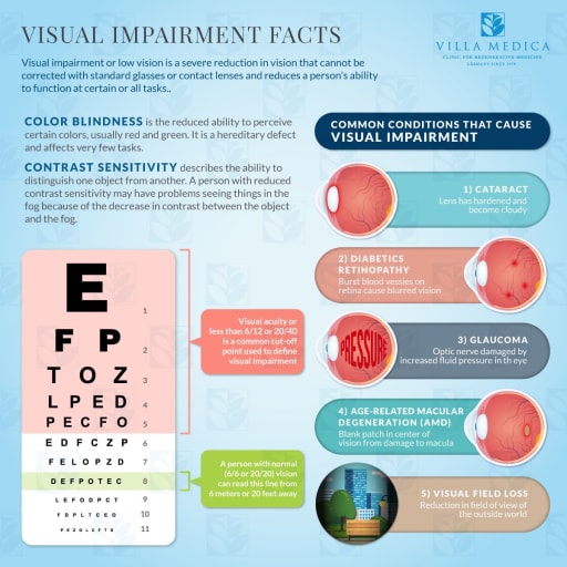 Where do children who are blind or visually impaired go to school?