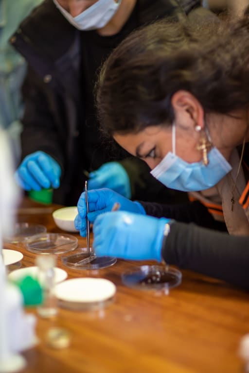 Senior School - Alexandra College Dublin