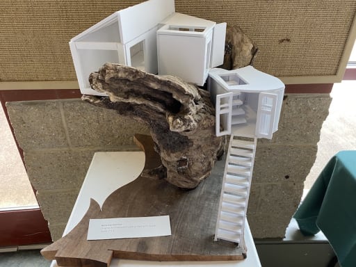 アート・デザイン・音楽 Approach - Graduate SchoolofArchitecture Visual/Performing Arts - Potomac School