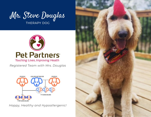 Pet sale partners therapy