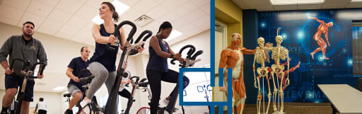 Exercise Science Pre-Health Professions