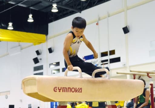 Pre-competitive – Panthers Gymnastics