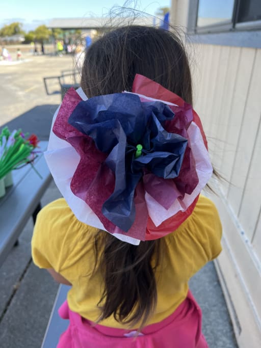 Image of a Student's Hair on Crazy Hair Day