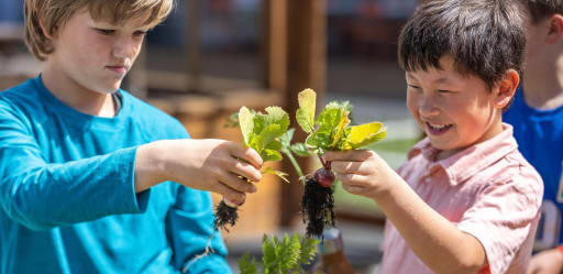 Bay Area Private Schools - La Scuola International School