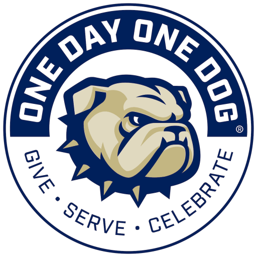 One day store in dog years