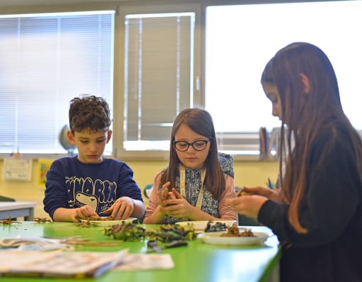 NOVA International School Skopje — Classrooms