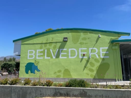 Belvedere Elementary (@BelvedereBees) / X