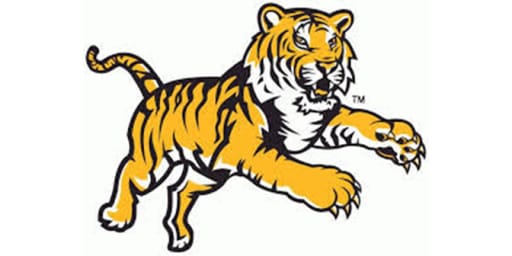 Help Us Name Our New Tiger Mascot – Bardstown Middle School