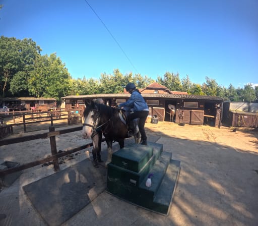 Academy riding stables store