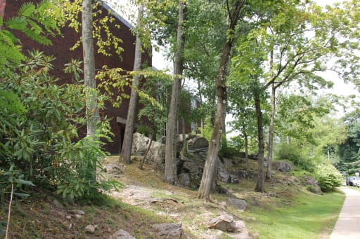 Home - Greenwich High School