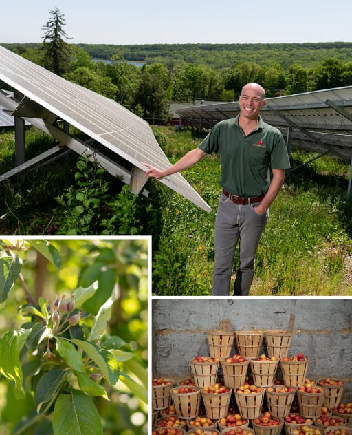 McIntosh Gift Box - Rogers Orchards