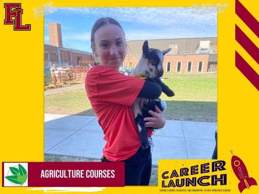 Career Launch - Forest Lake Area High School