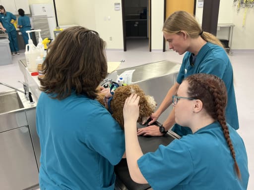 East valley pet sales clinic