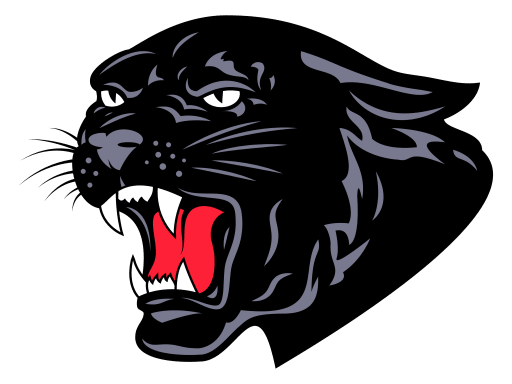 Saucon Valley Panthers