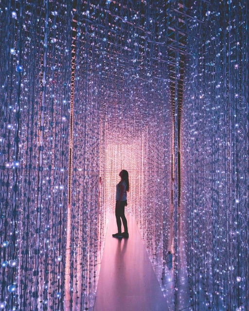 The Hall of Mirrors and Memories