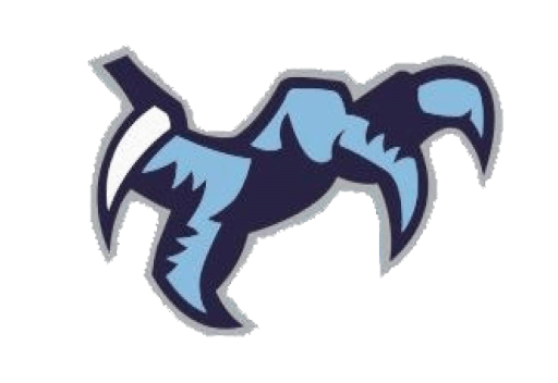 Chapin High logo