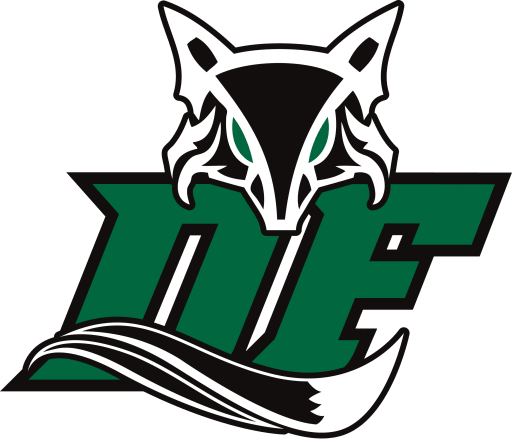 Dutch Fork High logo
