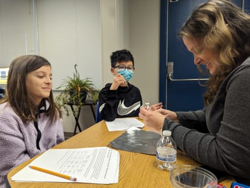 Mystery Festival fosters investigative skills | district news etc 