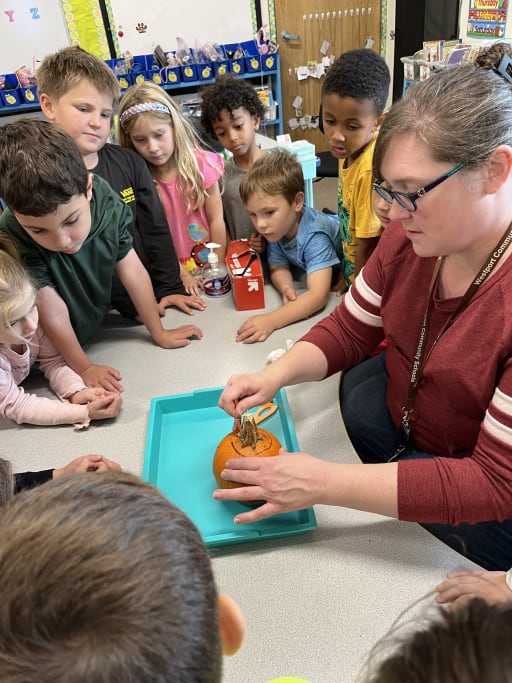 Westport Elementary School - Westport Community Schools