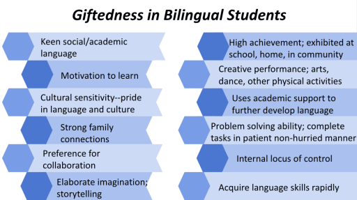 Gifted and Talented Language Arts [洋書]