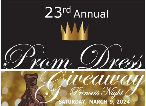 FREE Prom Dresses via Princess Night Project News Detail