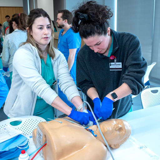 Medical Task Trainers Paul Mayo, MD, On Using The U/S Mentor For