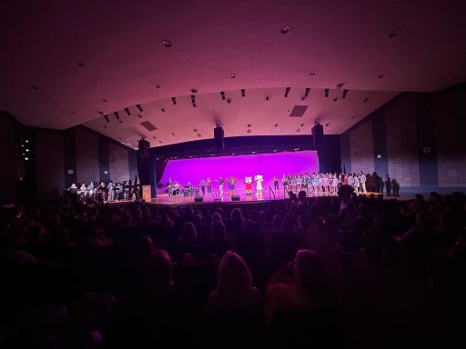 State Fair Concert Legacy - Crowd Enjoying Live Music 2026