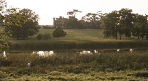 New film based on OM Isabella Tree's book, Wilding, has hit cinemas | News  Details