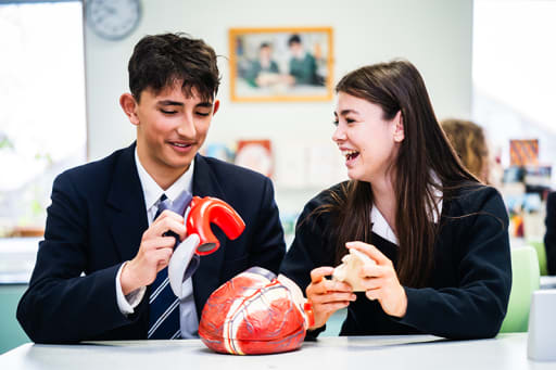 Two Felsted Senior pupils sitting at desk interacting with plastic organs in Science setting