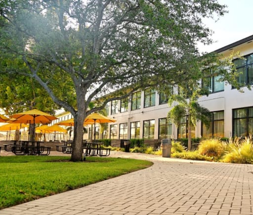 ST PETERSBURG CATHOLIC HIGH SCHOOL