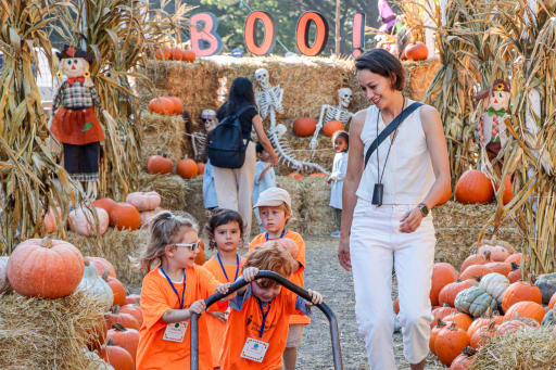 Learning Beyond the Classroom - The International School of San