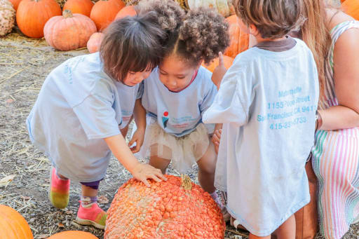 Learning Beyond the Classroom - The International School of San
