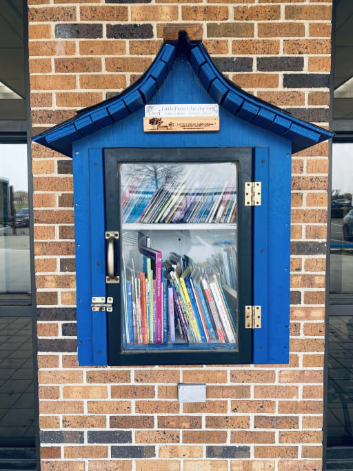 Picture of a Little Free Library at an elementary campus