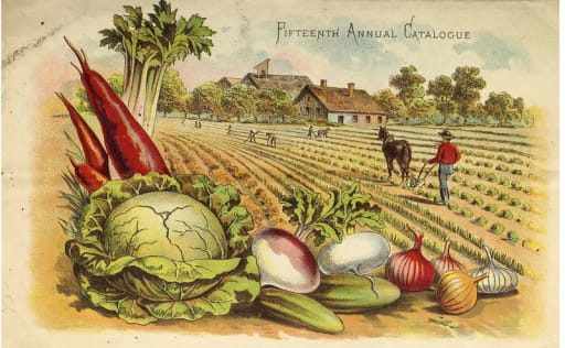 1885 Perry Seed Catalogue Cover, Fresh Vegetables in front of a farm 
