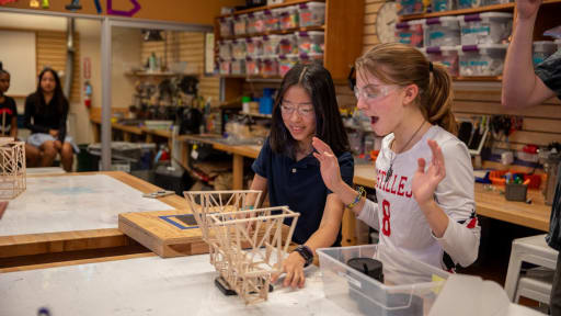 Bourn Lab Stress Test on Popsicle Stick Structure