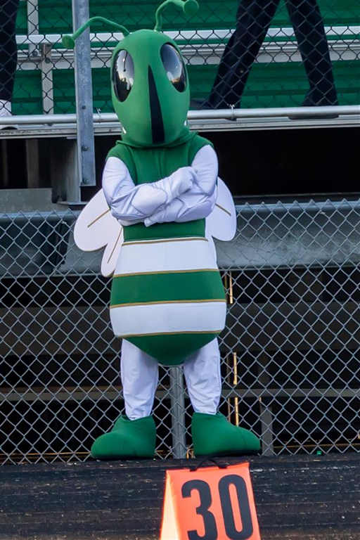 Green And White Hornet Mascot